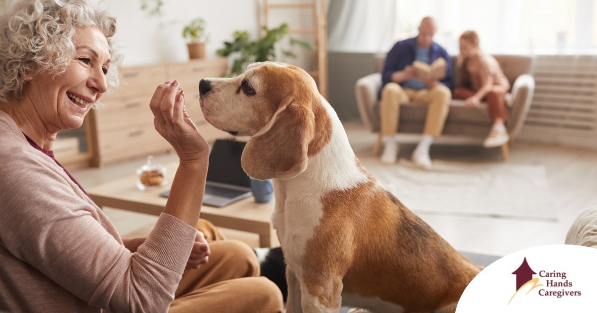 An older woman smiles while giving a dog a treat, representing the joy that dogs can bring.